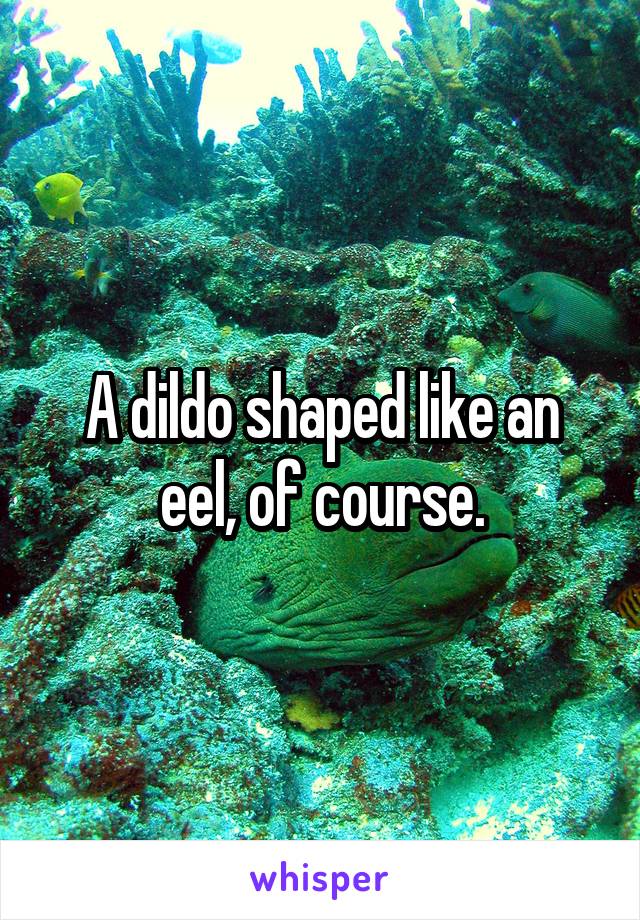 A dildo shaped like an eel, of course.