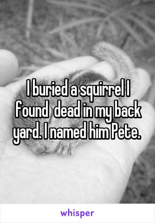 I buried a squirrel I found  dead in my back yard. I named him Pete. 