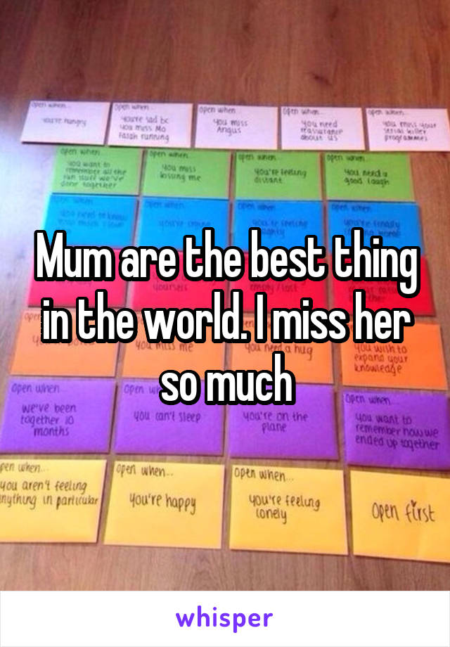 Mum are the best thing in the world. I miss her so much