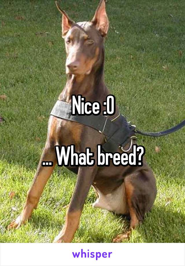 Nice :O

... What breed?