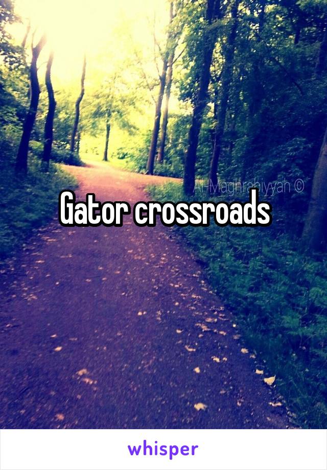 Gator crossroads
