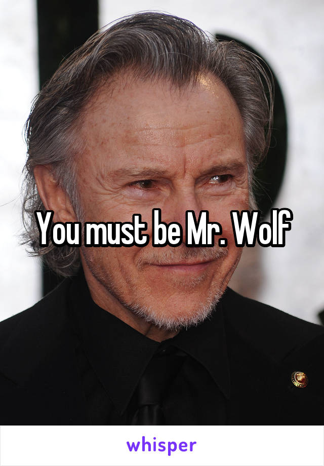 You must be Mr. Wolf