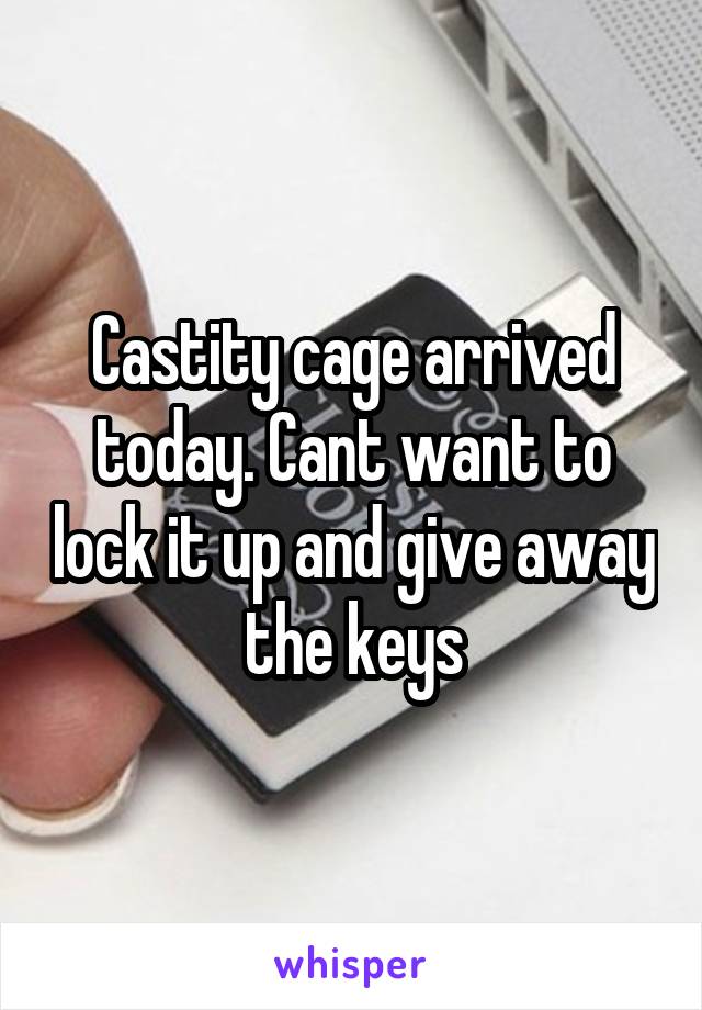 Castity cage arrived today. Cant want to lock it up and give away the keys