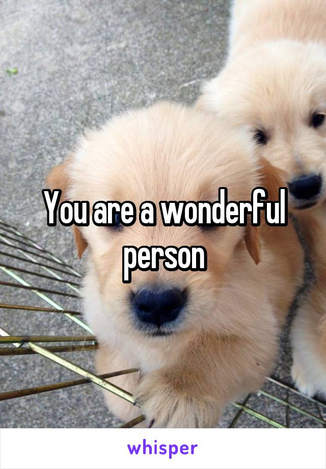 You are a wonderful person