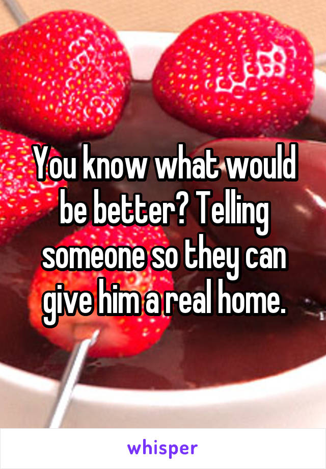 You know what would be better? Telling someone so they can give him a real home.