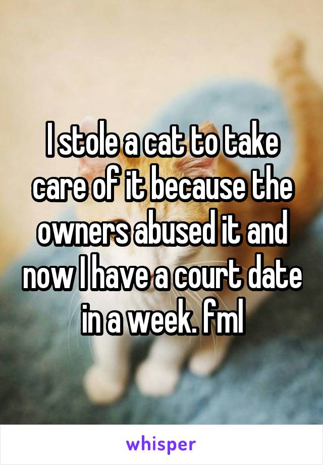 I stole a cat to take care of it because the owners abused it and now I have a court date in a week. fml