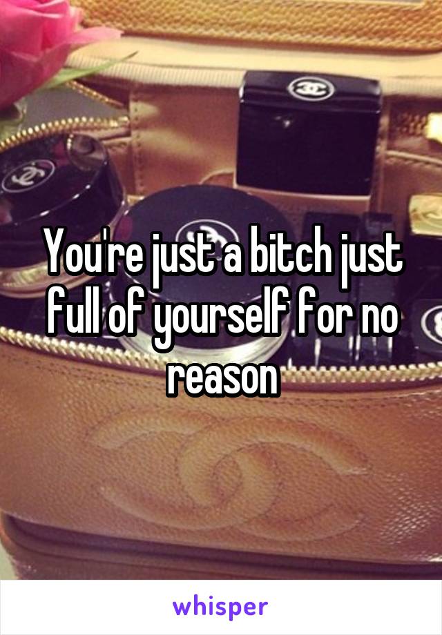 You're just a bitch just full of yourself for no reason