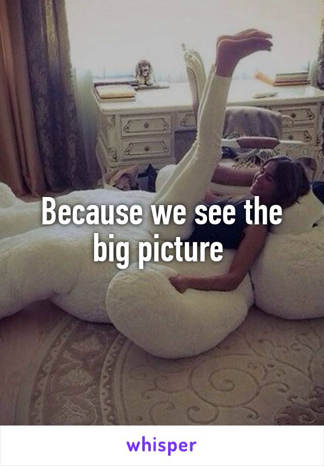 Because we see the big picture 