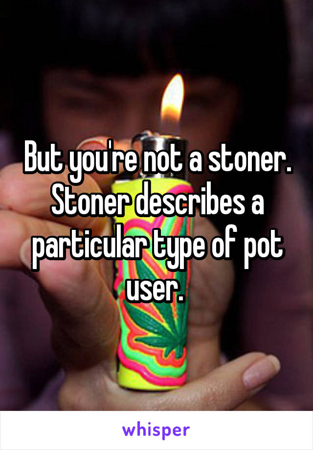 But you're not a stoner. Stoner describes a particular type of pot user. 