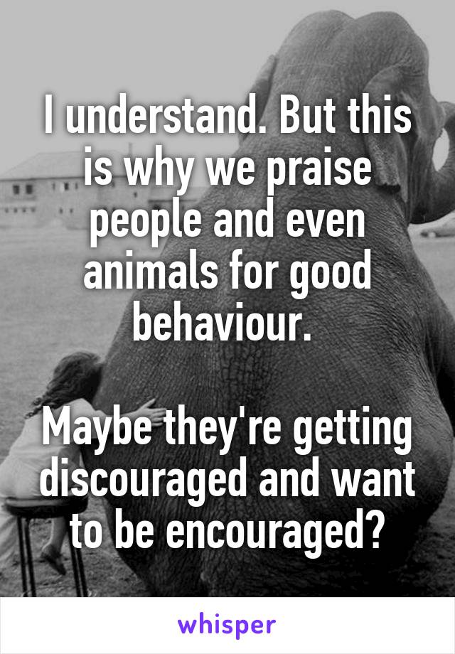 I understand. But this is why we praise people and even animals for good behaviour. 

Maybe they're getting discouraged and want to be encouraged?