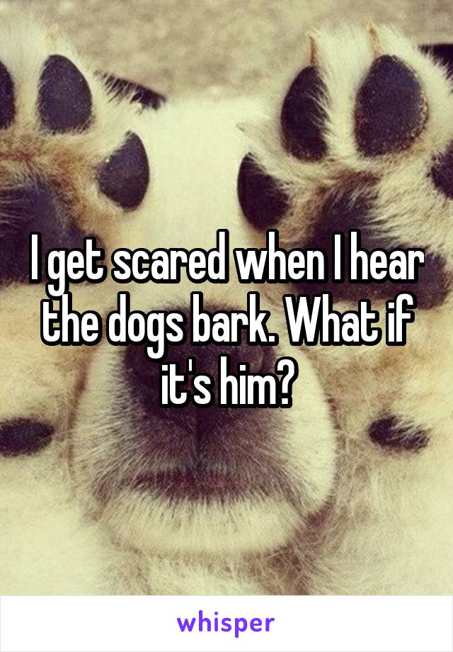 I get scared when I hear the dogs bark. What if it's him?