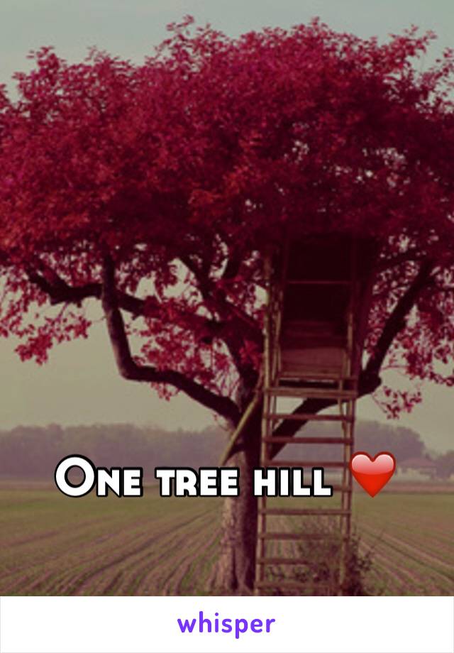 One tree hill ❤️