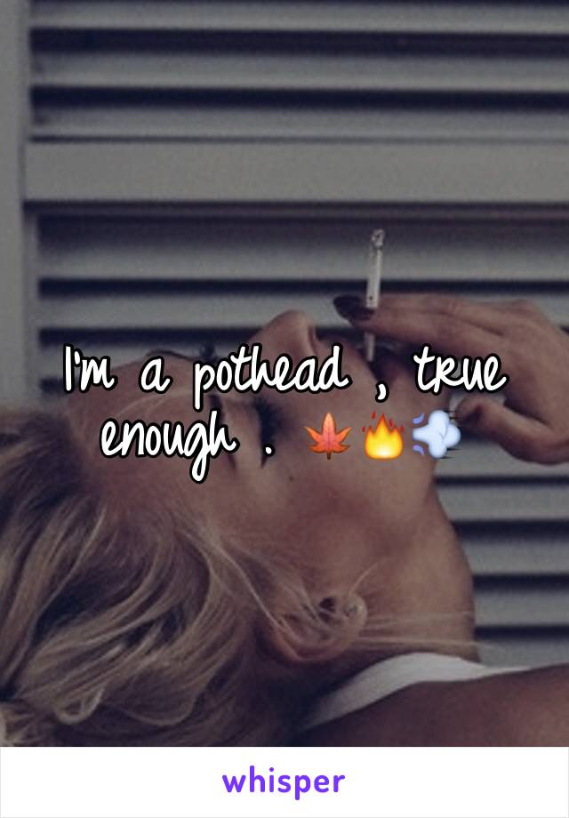 I'm a pothead , true enough . 🍁🔥💨