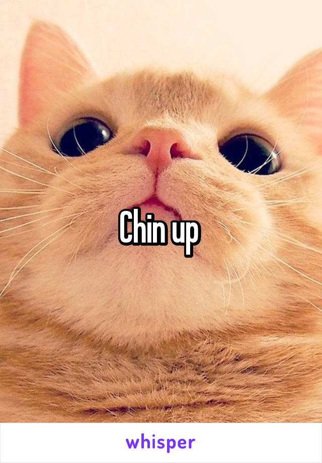 Chin up 