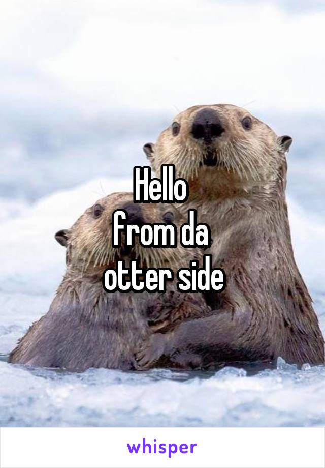 Hello 
from da 
otter side