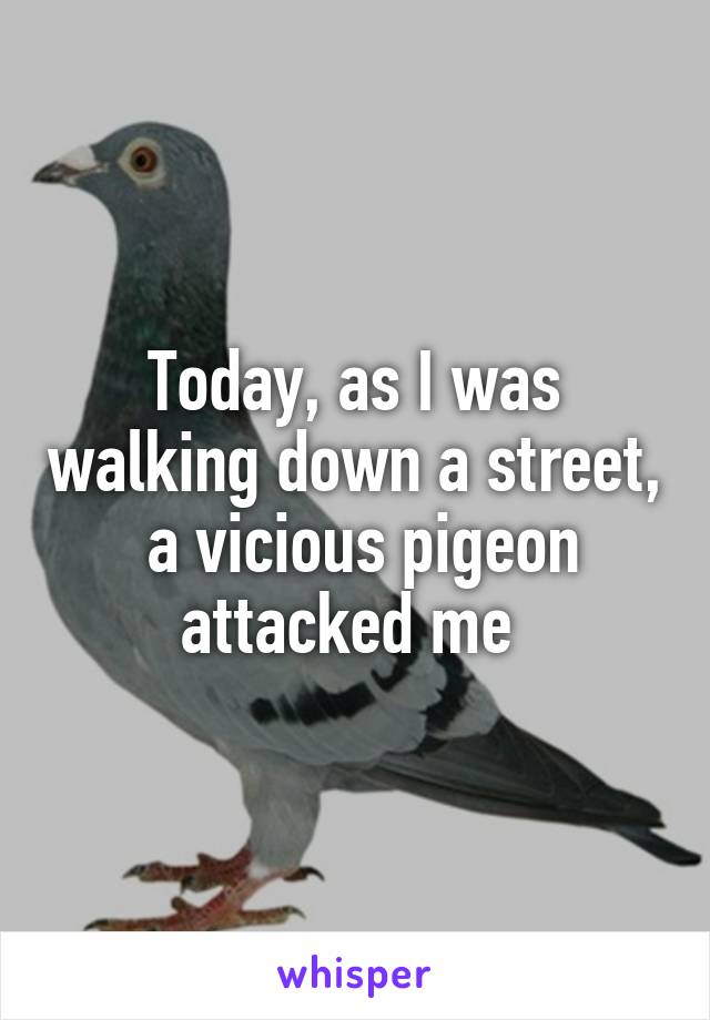 Today, as I was walking down a street,  a vicious pigeon attacked me 