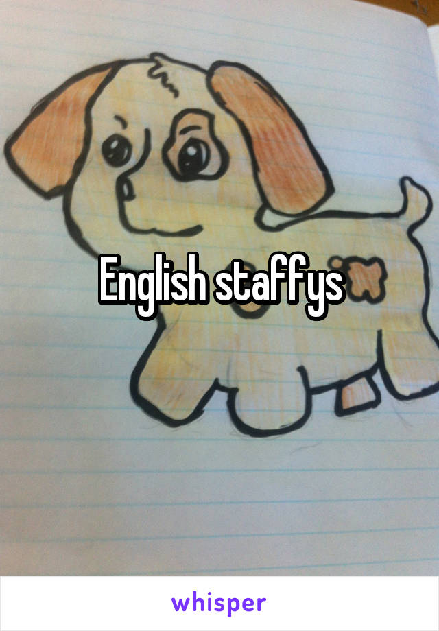 English staffys
