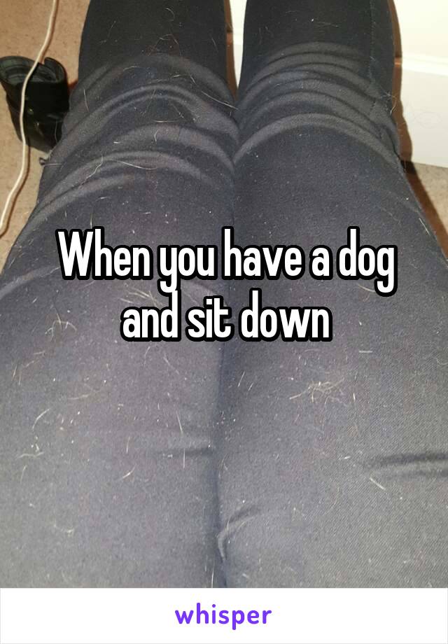 When you have a dog and sit down
