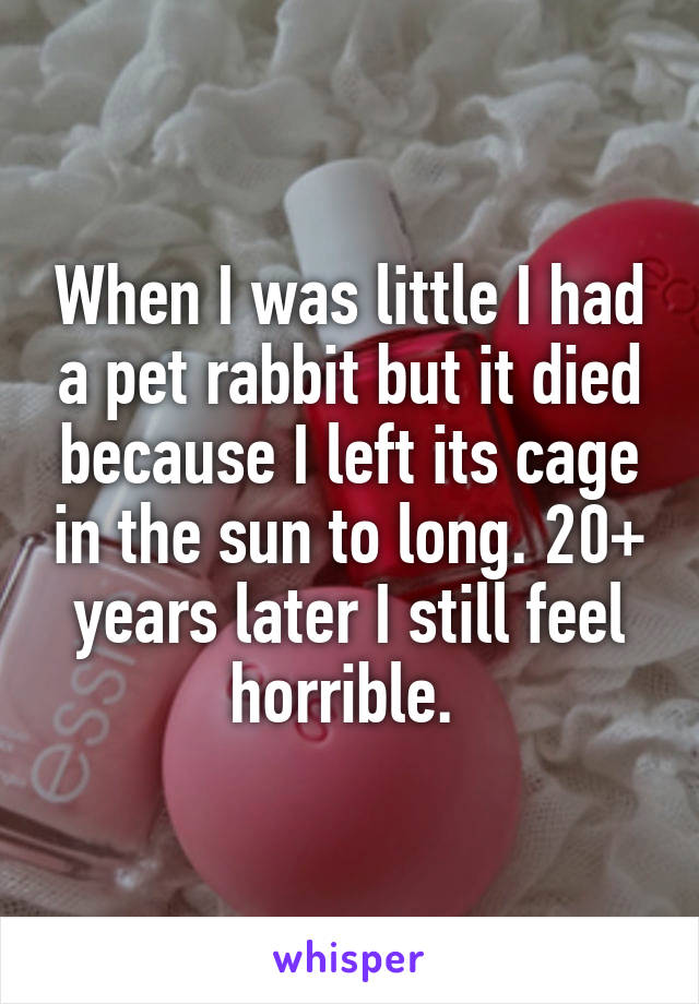 When I was little I had a pet rabbit but it died because I left its cage in the sun to long. 20+ years later I still feel horrible. 