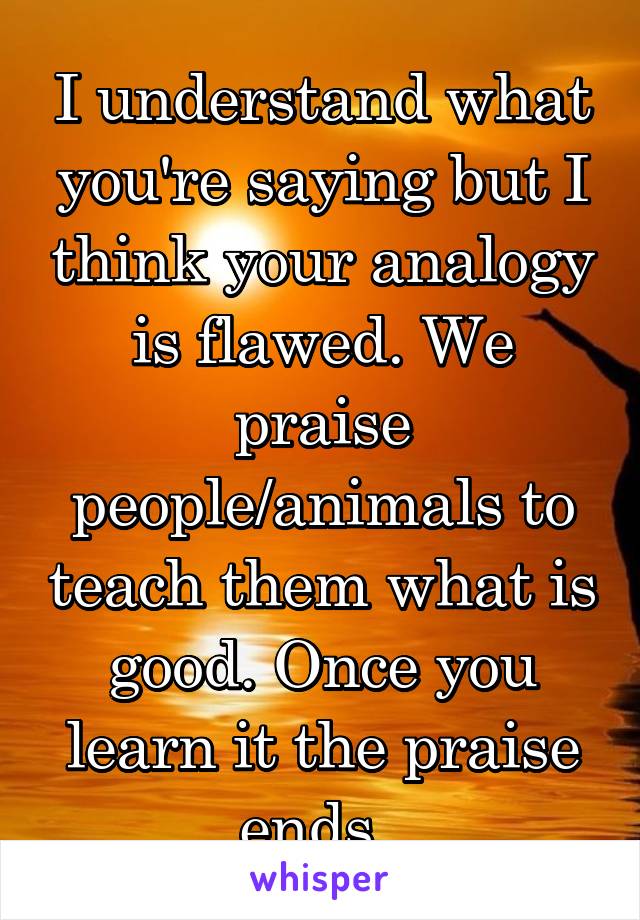 I understand what you're saying but I think your analogy is flawed. We praise people/animals to teach them what is good. Once you learn it the praise ends. 