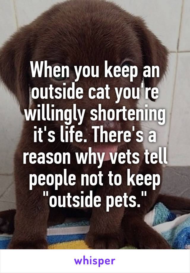 When you keep an outside cat you're willingly shortening it's life. There's a reason why vets tell people not to keep "outside pets."