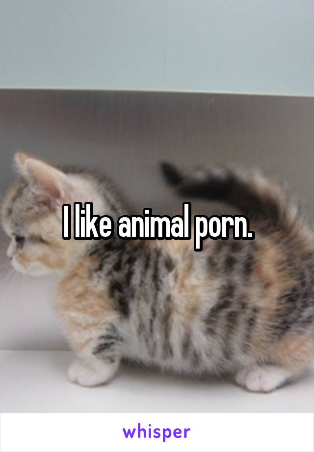 I like animal porn.