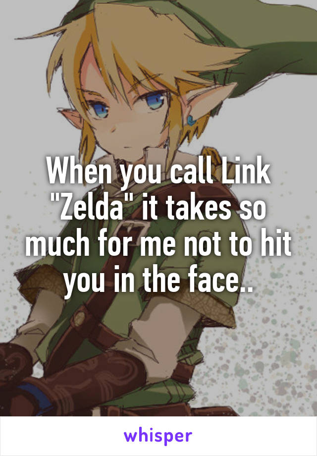 When you call Link "Zelda" it takes so much for me not to hit you in the face..