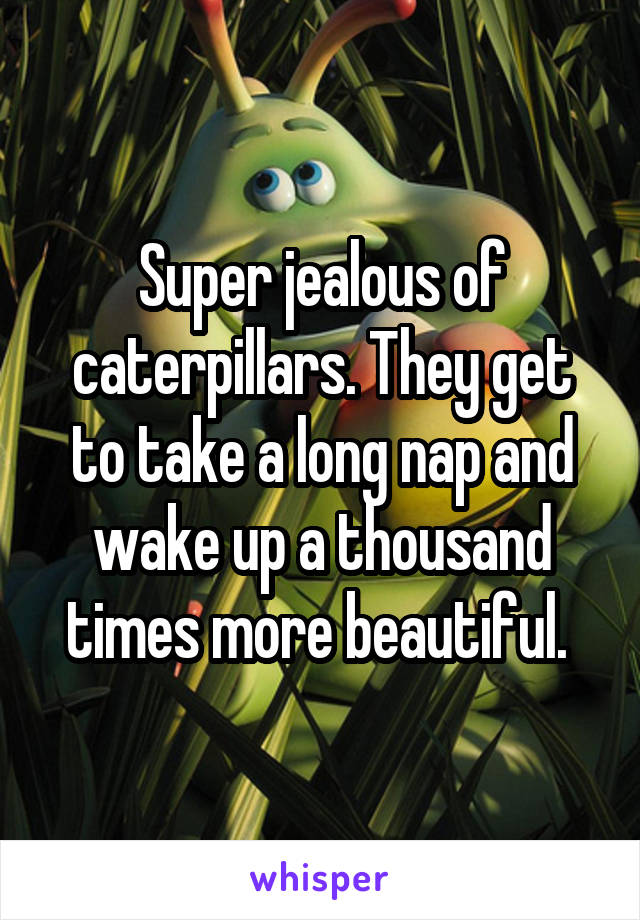 Super jealous of caterpillars. They get to take a long nap and wake up a thousand times more beautiful. 