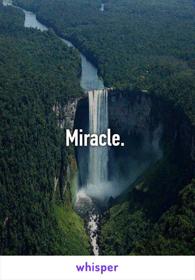 Miracle. 