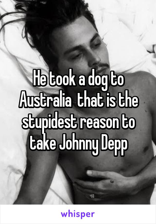 He took a dog to Australia  that is the stupidest reason to take Johnny Depp