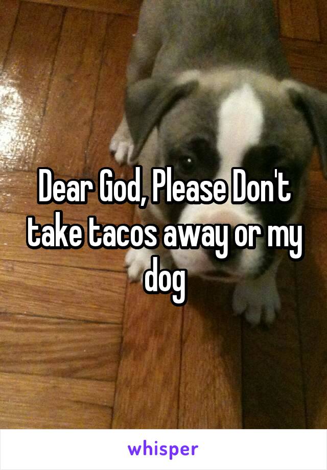 Dear God, Please Don't take tacos away or my dog