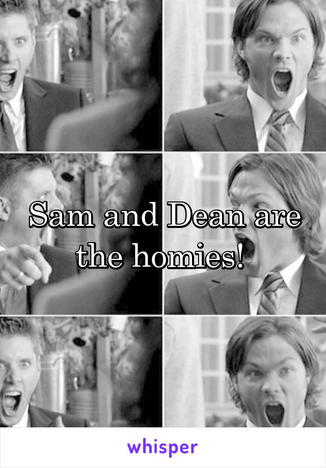 Sam and Dean are the homies! 