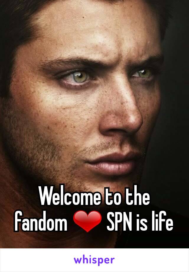 Welcome to the fandom ❤ SPN is life