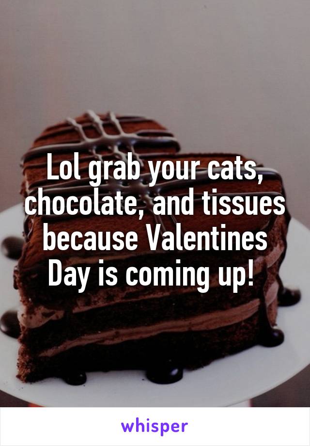 Lol grab your cats, chocolate, and tissues because Valentines Day is coming up! 