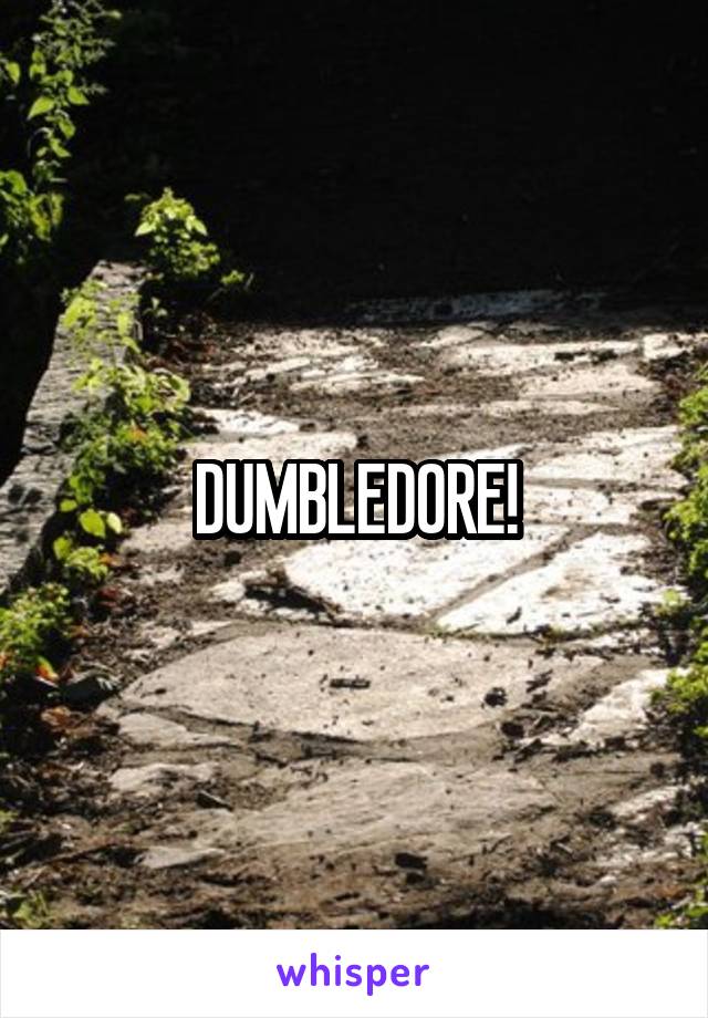 DUMBLEDORE!