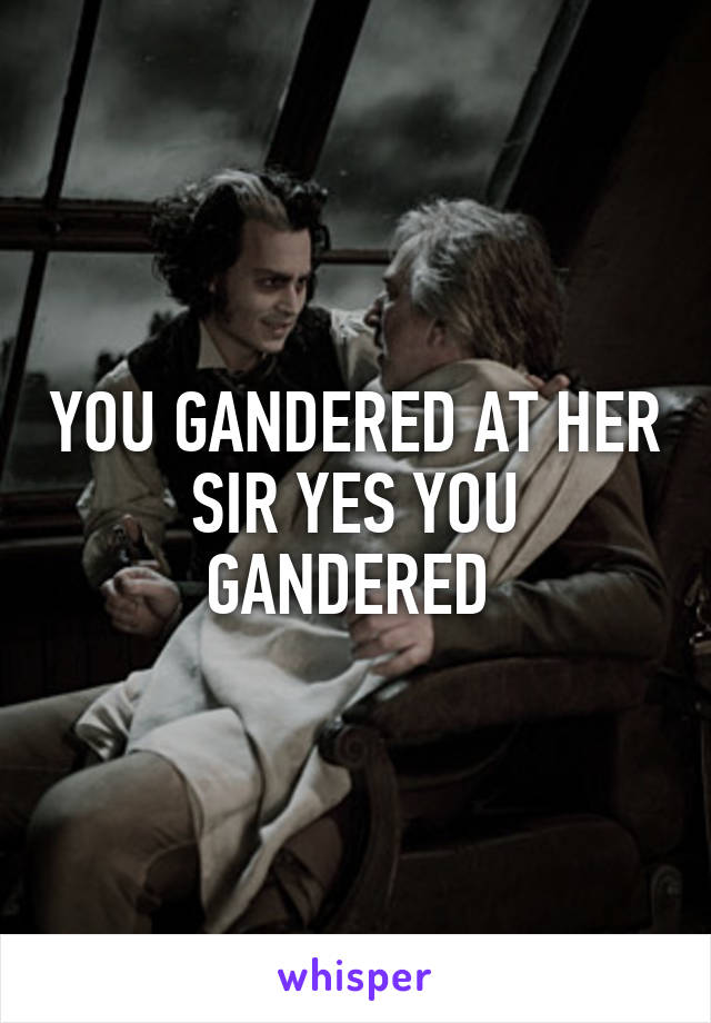 YOU GANDERED AT HER SIR YES YOU GANDERED 