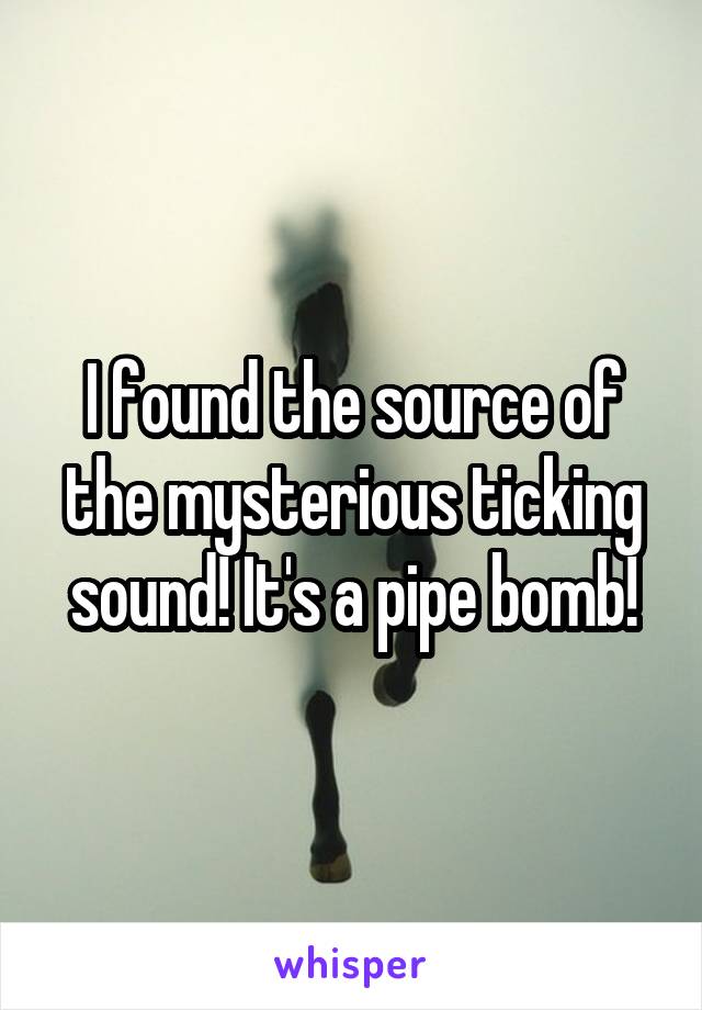 I found the source of the mysterious ticking sound! It's a pipe bomb!