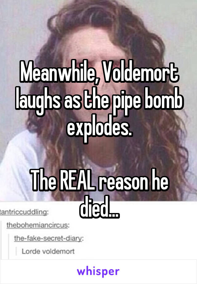 Meanwhile, Voldemort laughs as the pipe bomb explodes.

The REAL reason he died...