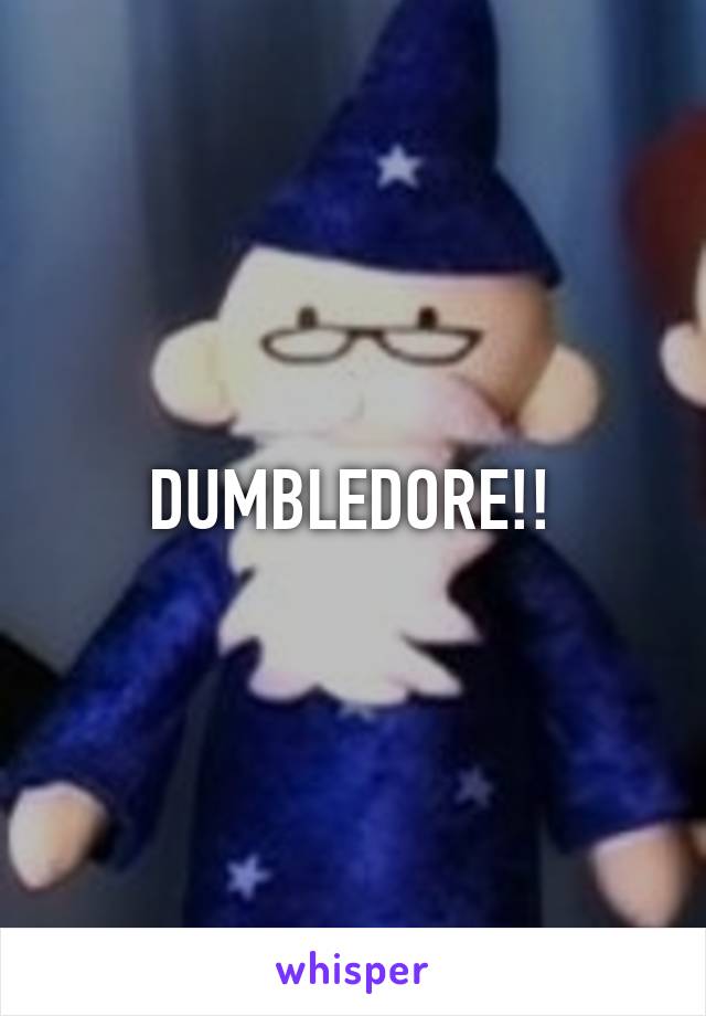 DUMBLEDORE!!