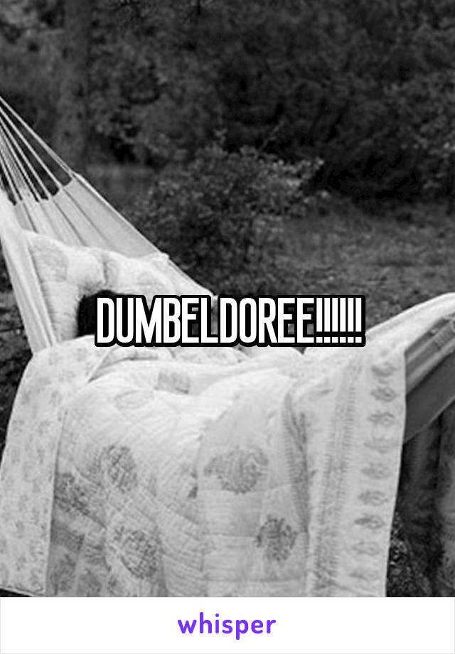 DUMBELDOREE!!!!!!