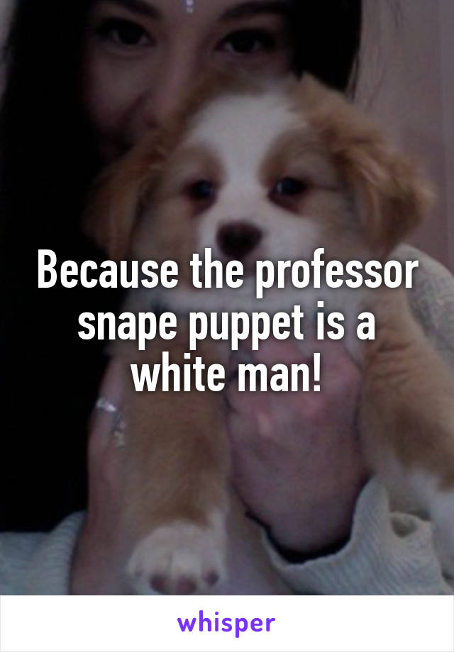 Because the professor snape puppet is a white man!