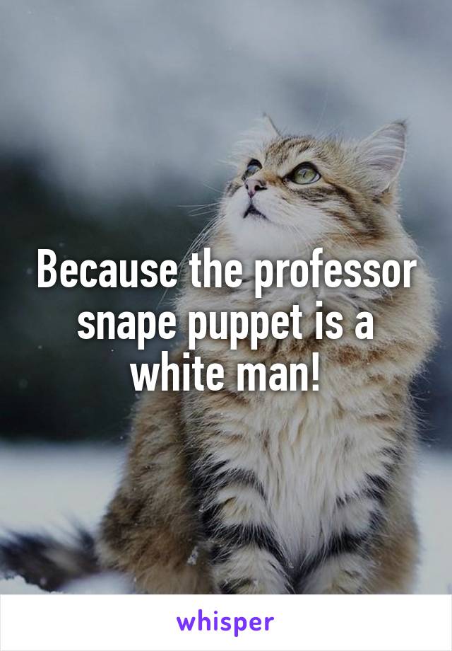 Because the professor snape puppet is a white man!