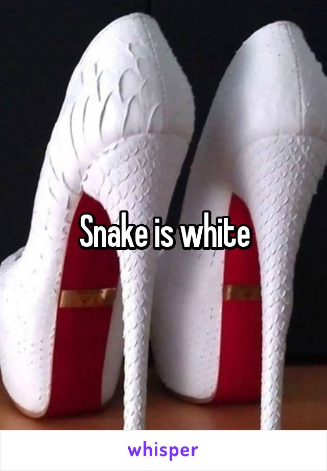 Snake is white