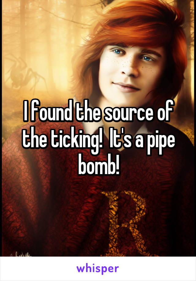 I found the source of the ticking!  It's a pipe bomb!