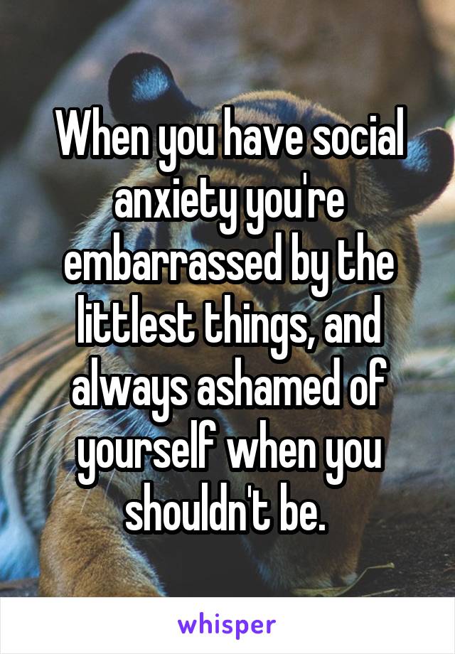 When you have social anxiety you're embarrassed by the littlest things, and always ashamed of yourself when you shouldn't be. 