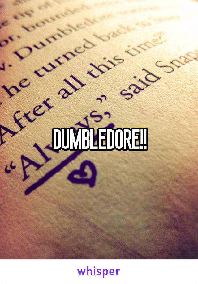 DUMBLEDORE!!