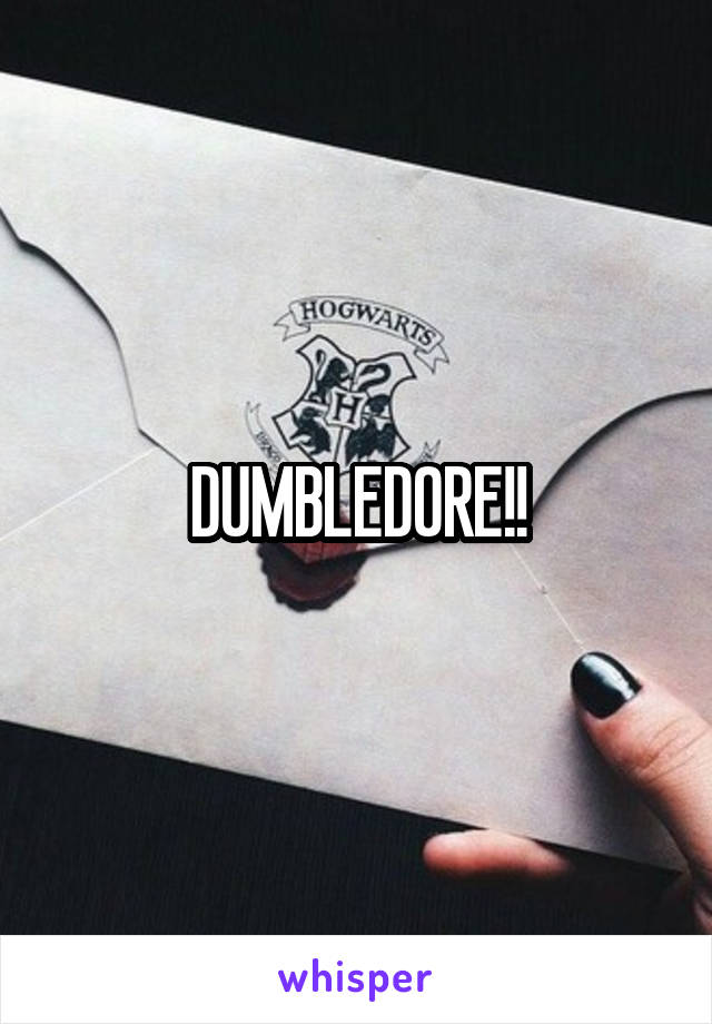 DUMBLEDORE!!