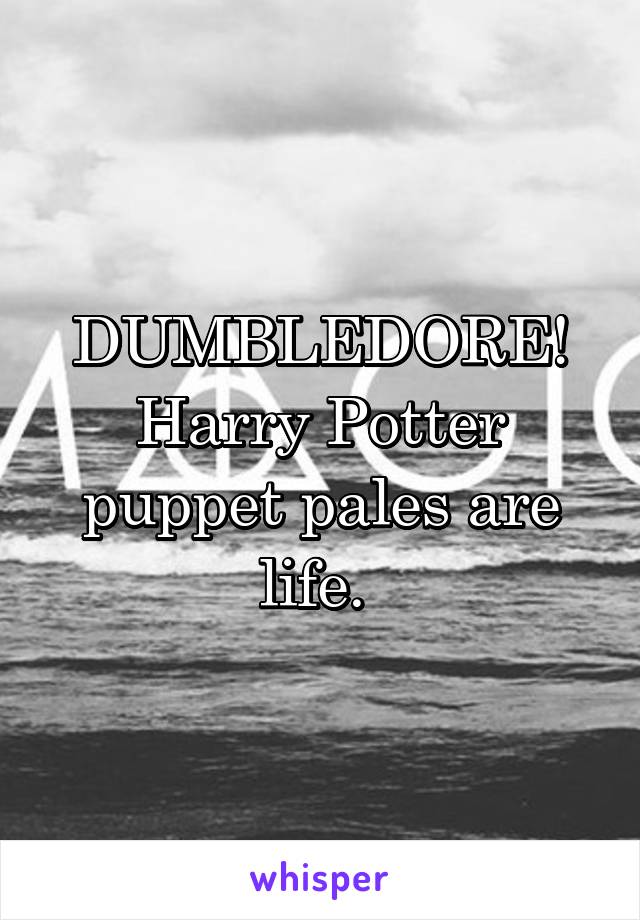 DUMBLEDORE! Harry Potter puppet pales are life. 