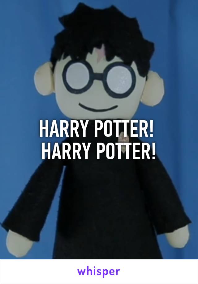 HARRY POTTER! 
HARRY POTTER!