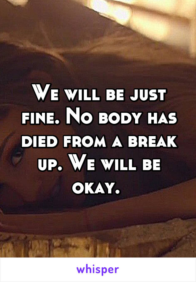 We will be just fine. No body has died from a break up. We will be okay. 